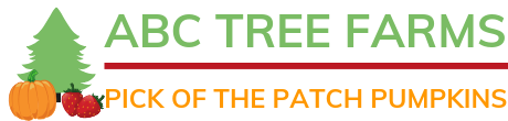 ABC Tree Farms & Pick of the Patch Pumpkins Logo